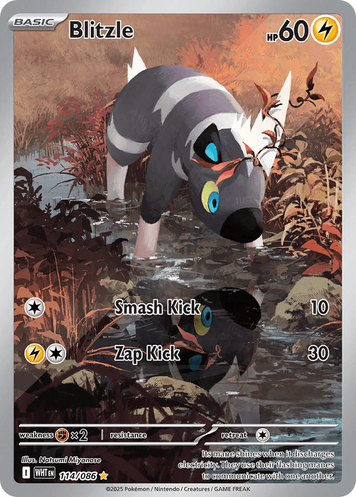 Blitzle