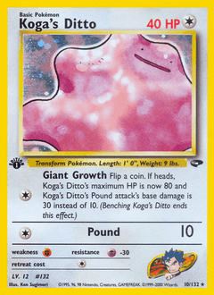 Koga’s Ditto
